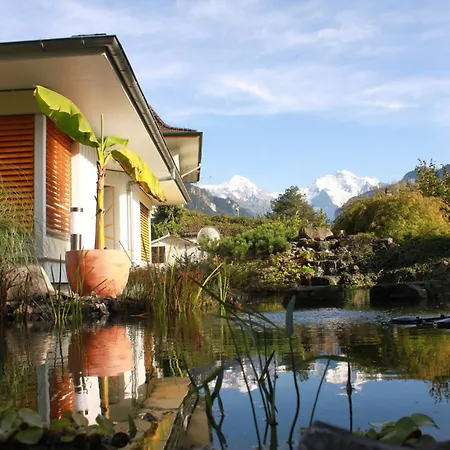 Frühstückspension Adventure Guesthouse Interlaken