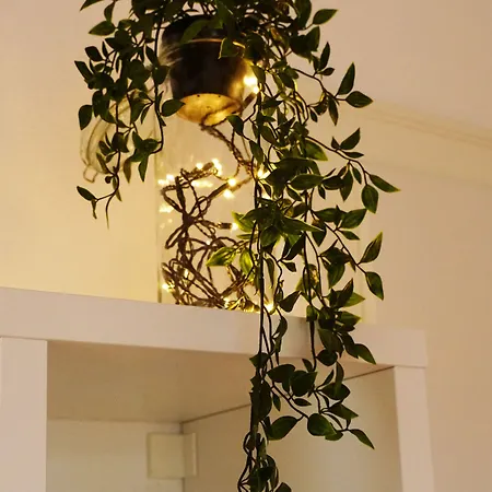 Bed & Breakfast Adventure Guesthouse Interlaken 3*