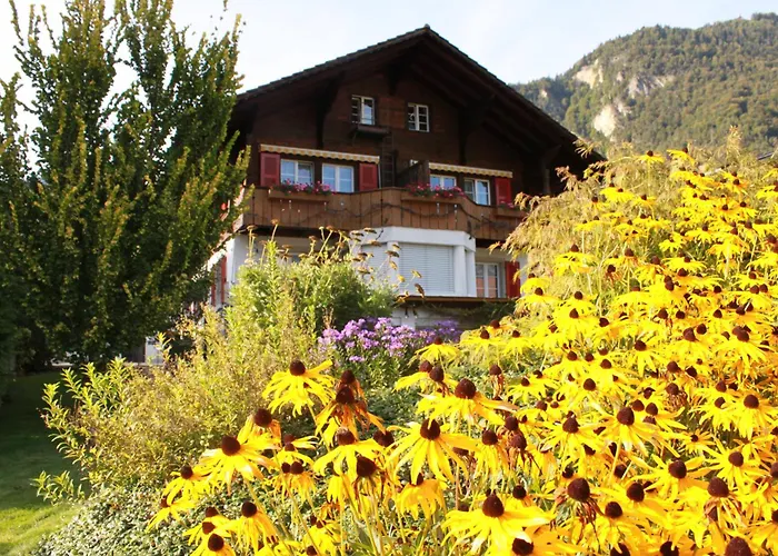 Adventure Interlaken Unterseen