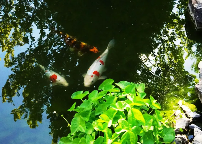 Adventure Interlaken