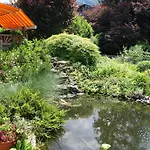 Bed & Breakfast Adventure Interlaken