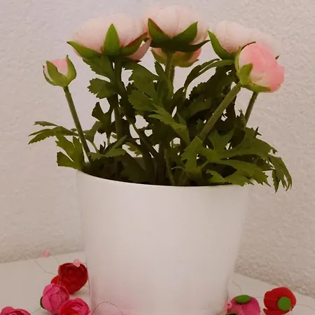 Adventure Interlaken 3*