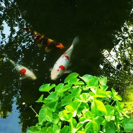 Adventure Interlaken