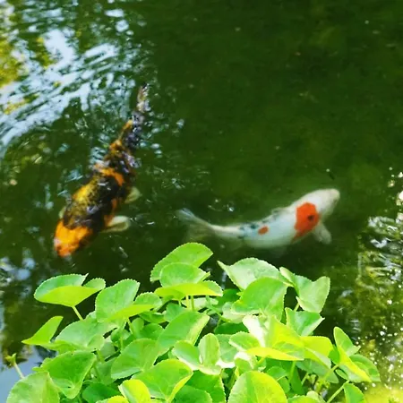 Adventure Interlaken Unterseen