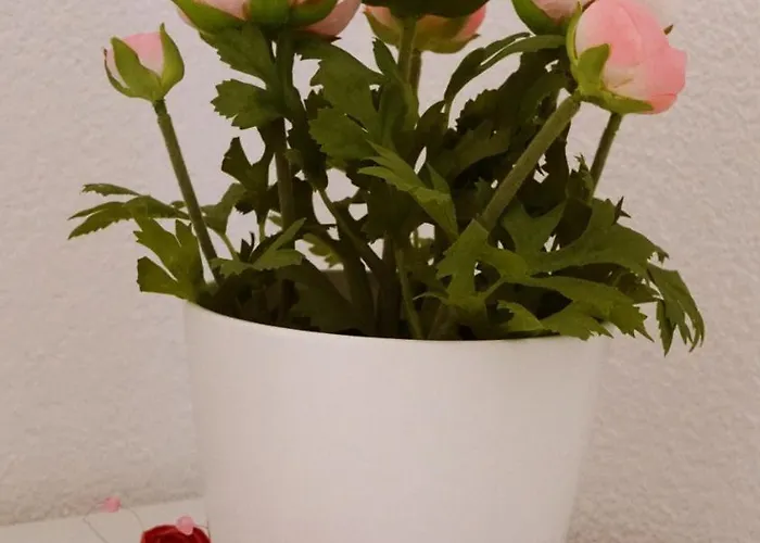 Adventure Interlaken 3*