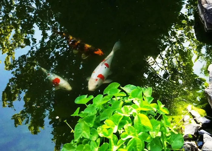 Adventure Interlaken