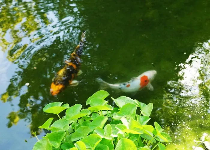 Adventure Interlaken Unterseen