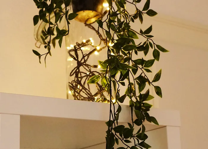 B&B Adventure Interlaken 3*